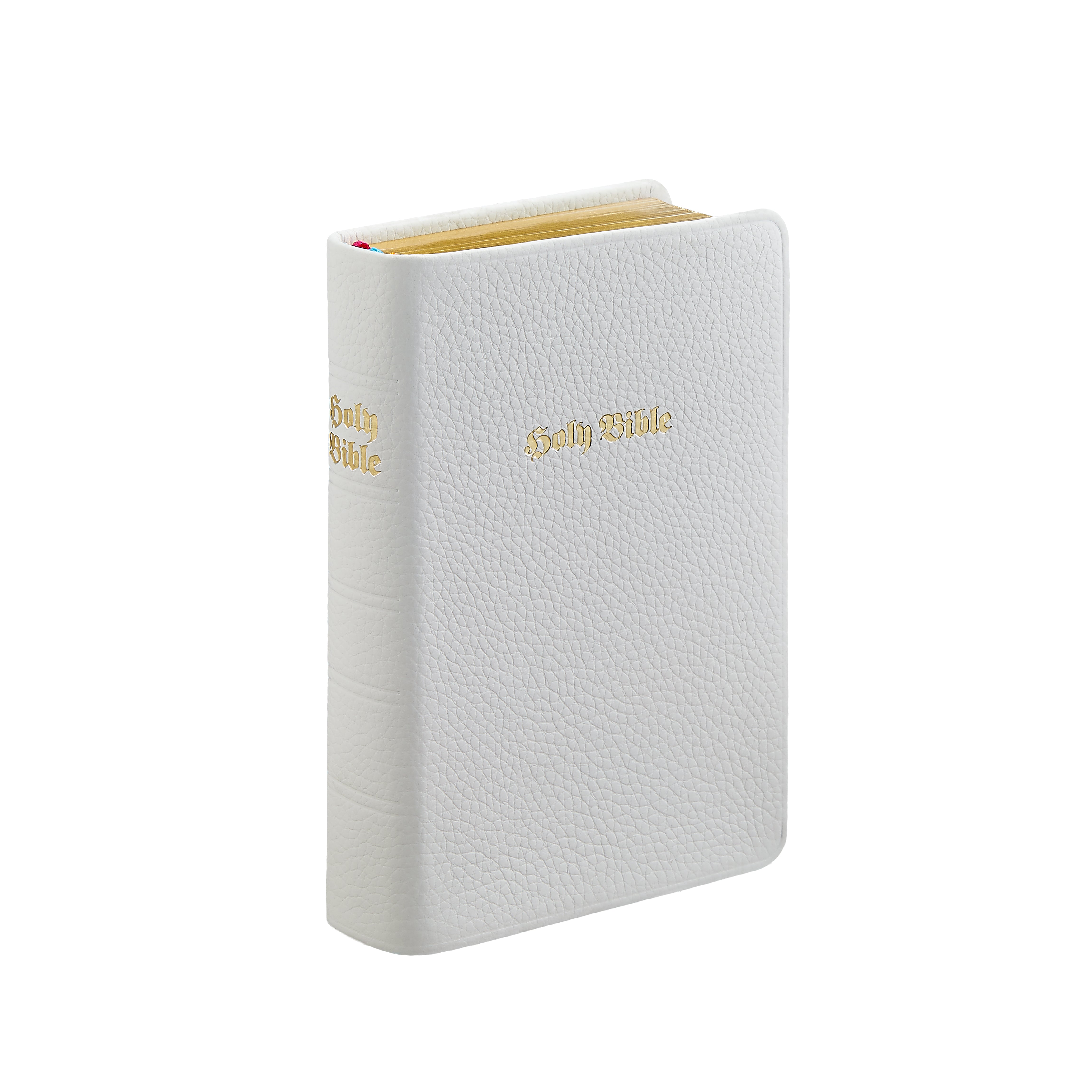 The Holy Bible