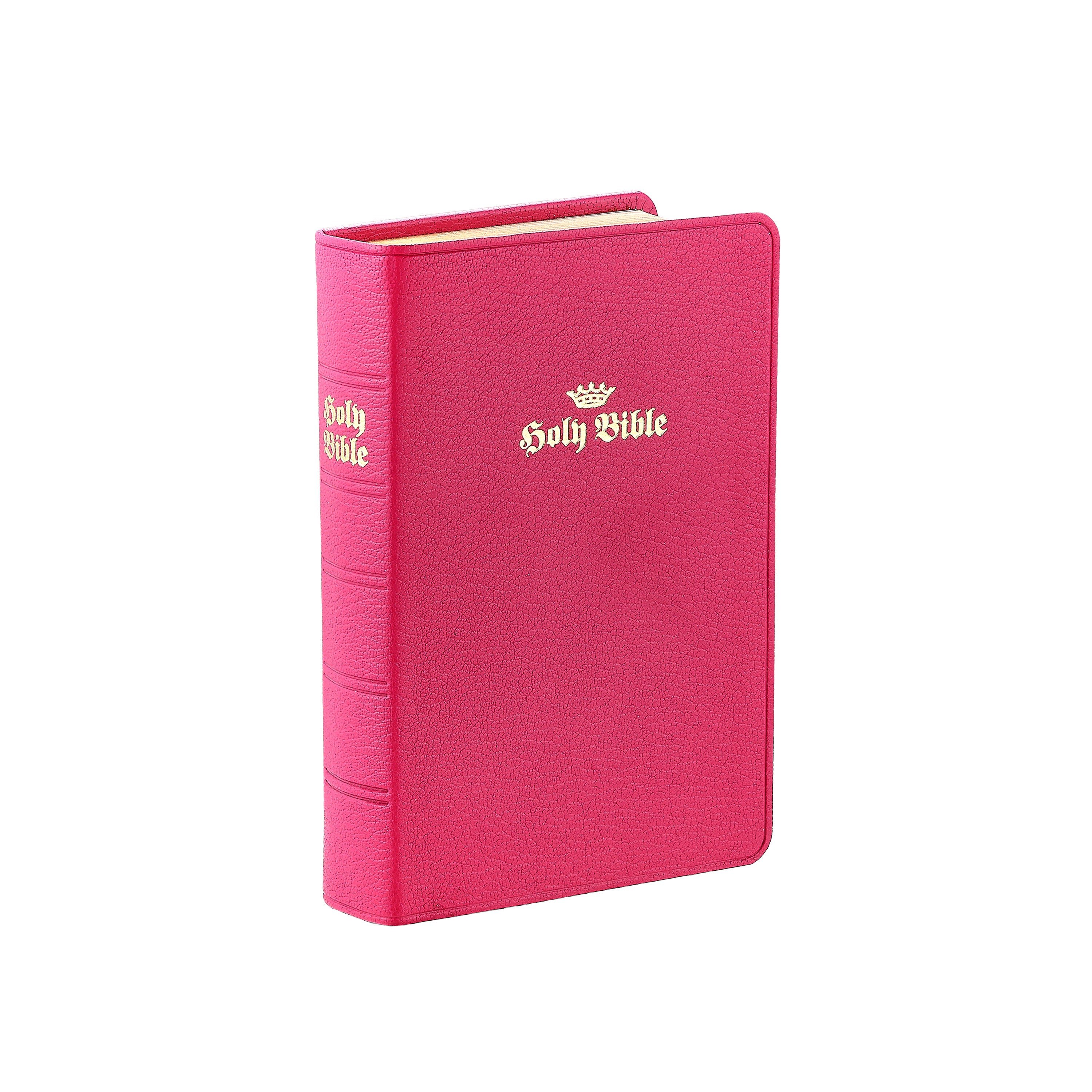 The Holy Bible