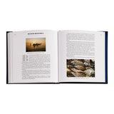 Oysters: A Celebration in the Raw