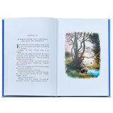 Winnie The Pooh: The Classic Edition