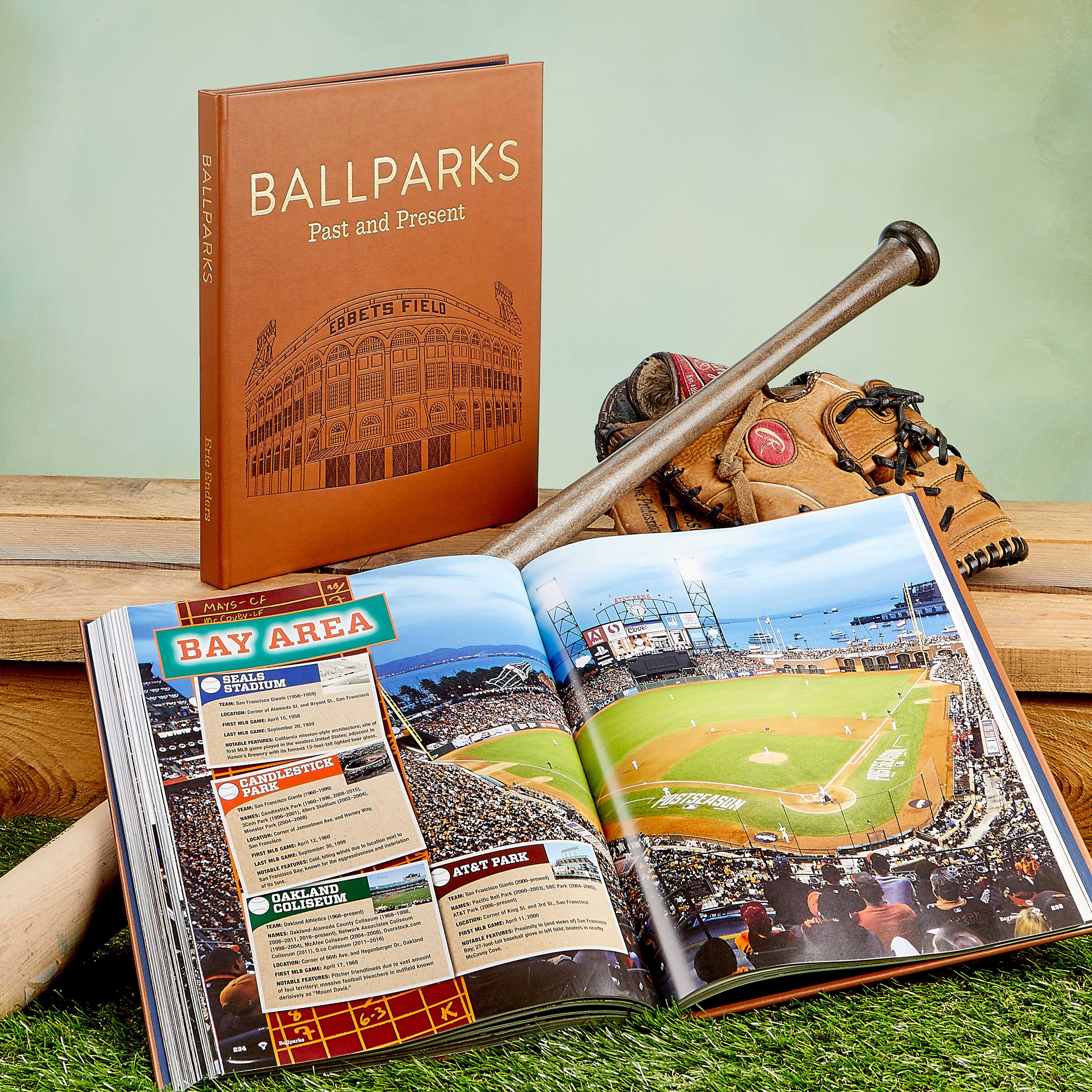 Leather Sports Books