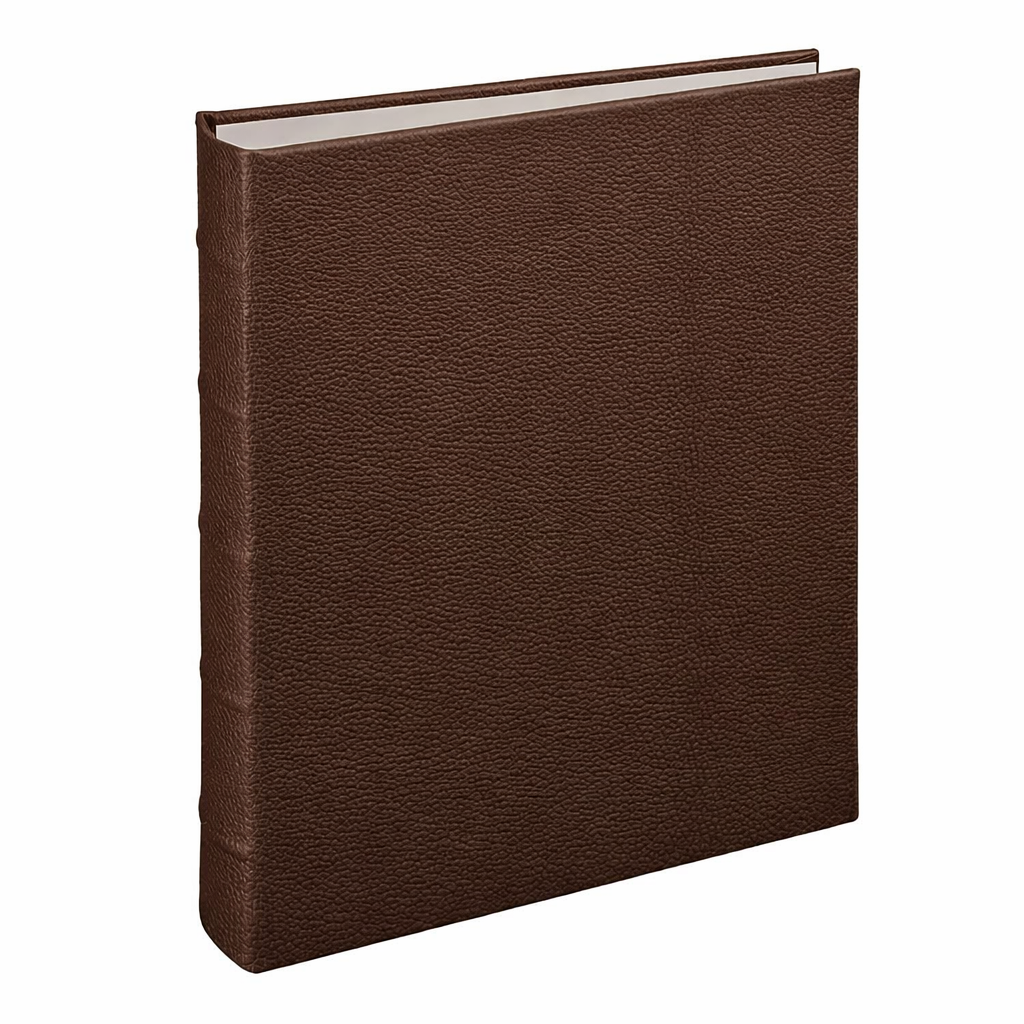 Large Ring Clear Pocket Album