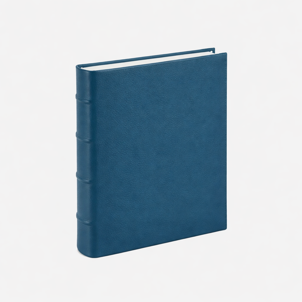 Medium 4-Ring Clear Pocket Album