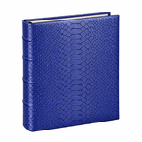 Medium 4-Ring Clear Pocket Album Ocean Python