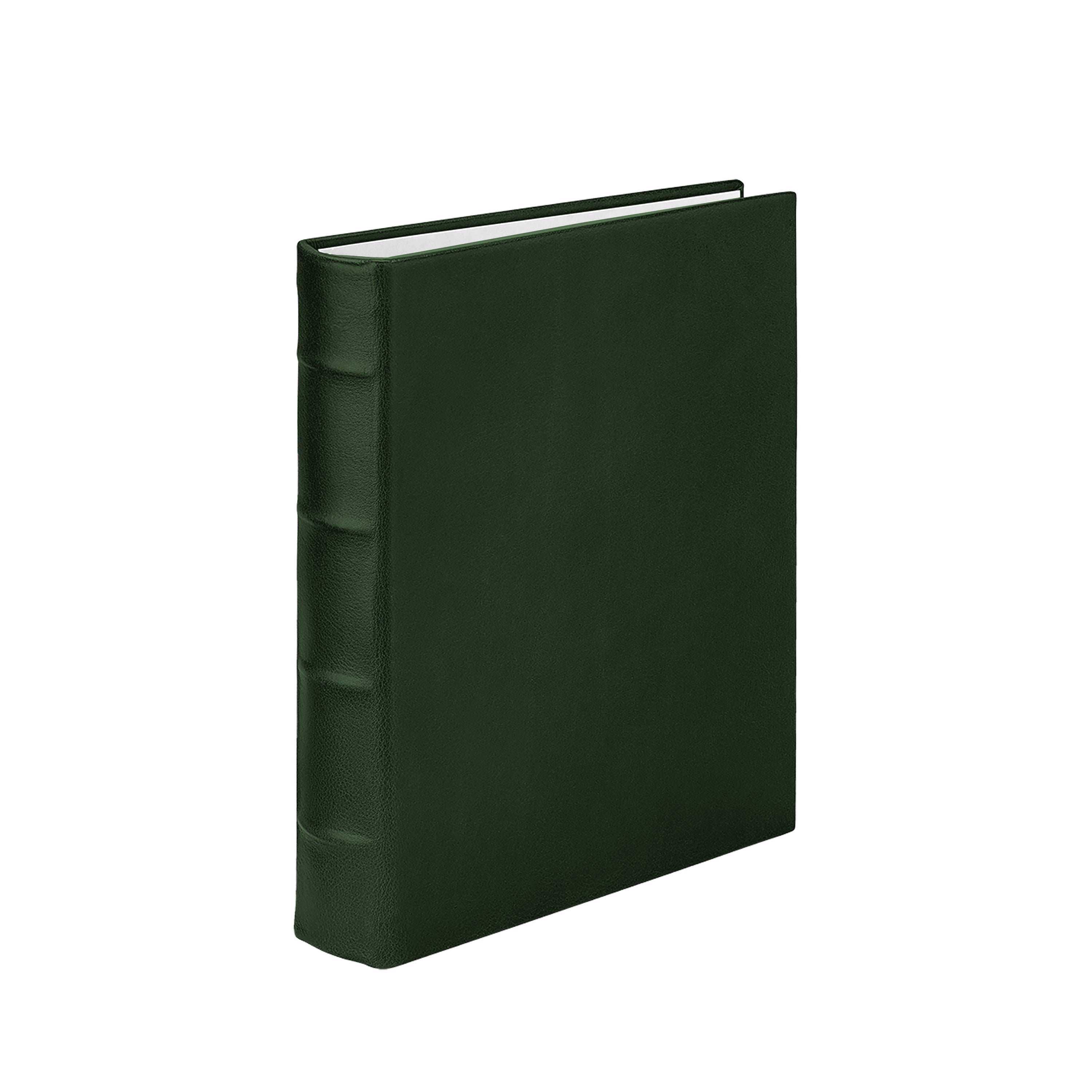 Medium 4-Ring Clear Pocket Album