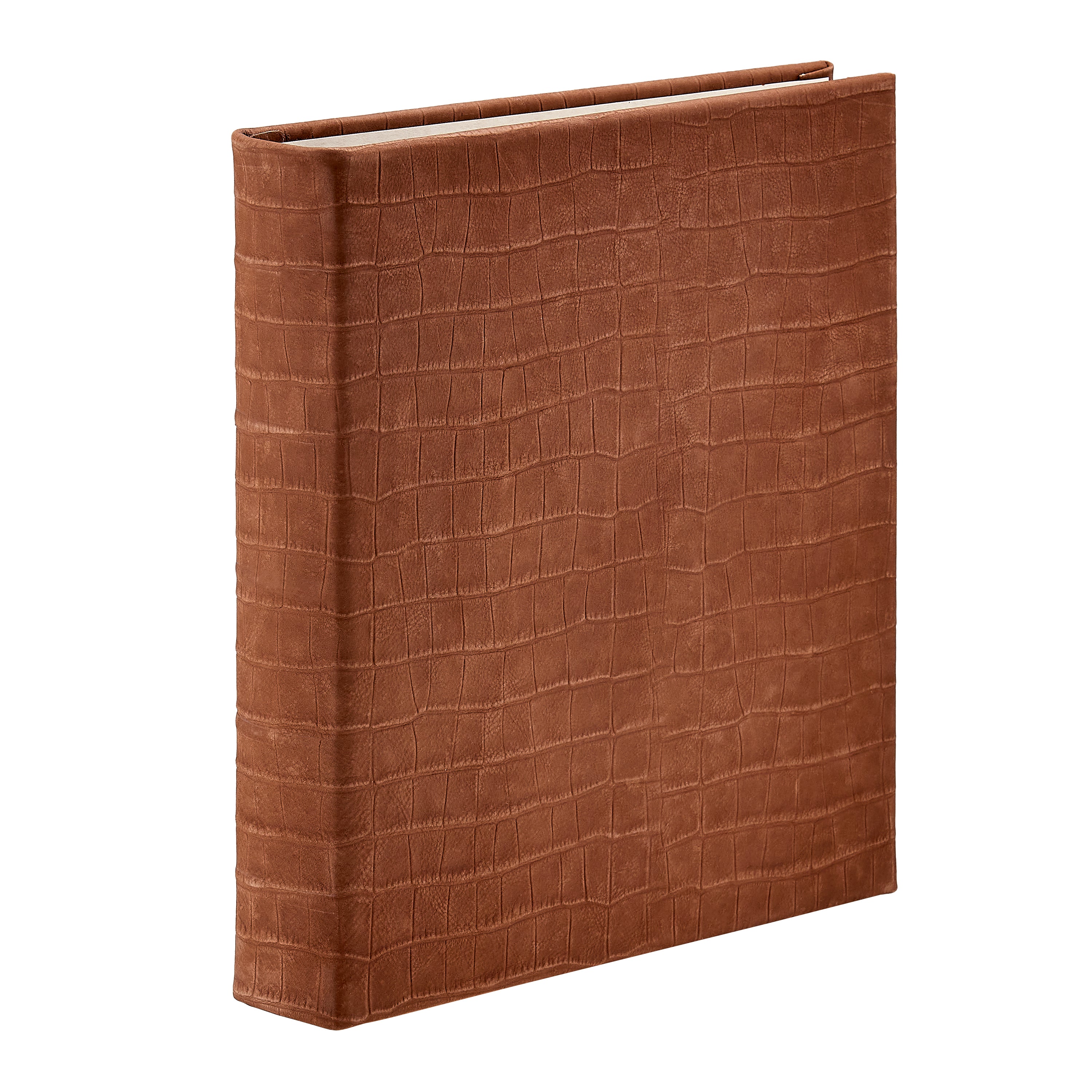 Large 3-Ring Clear Pocket Album Taupe Nubuck Croc Leather