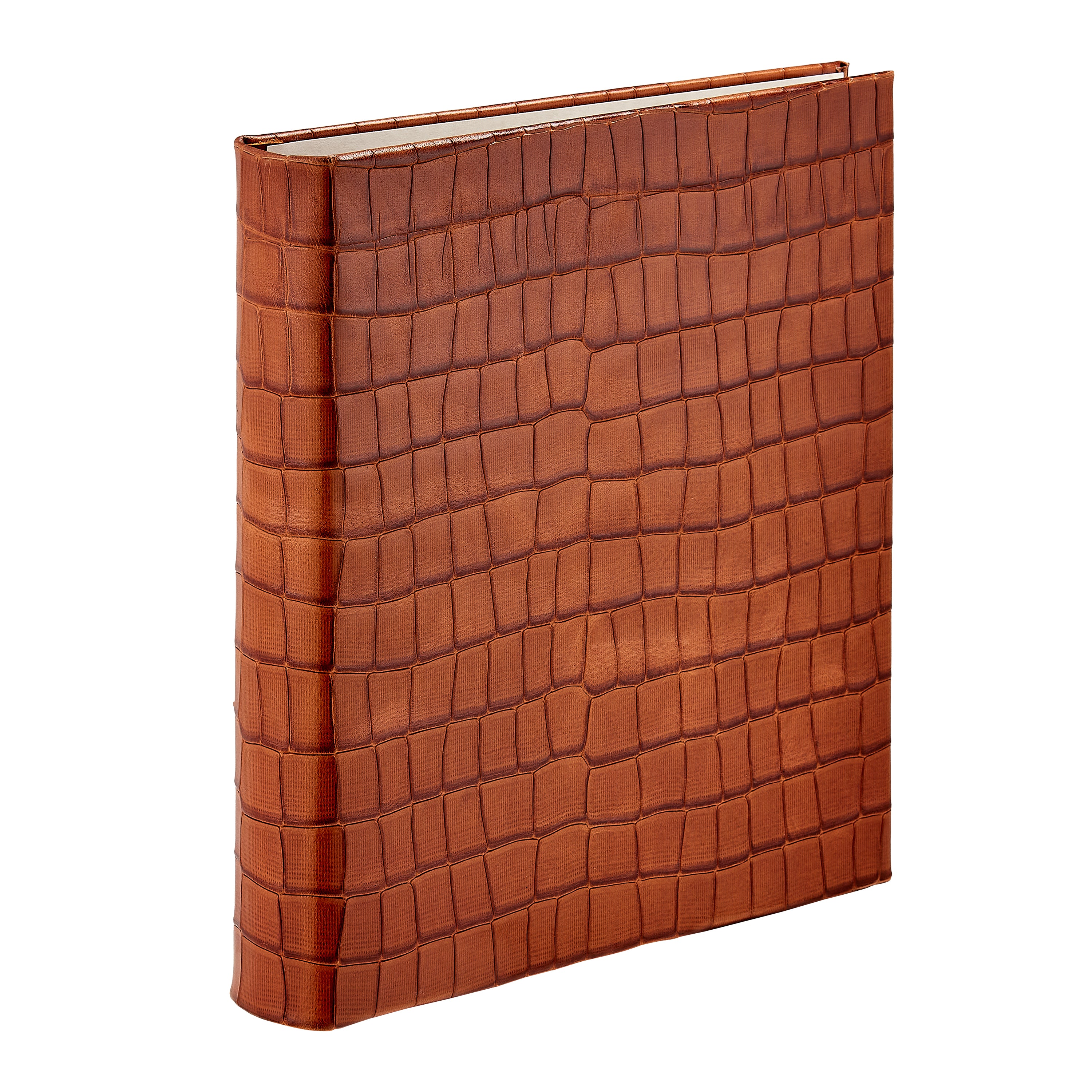 Large 3-Ring Clear Pocket Album Cognac Croc Embossed Leather
