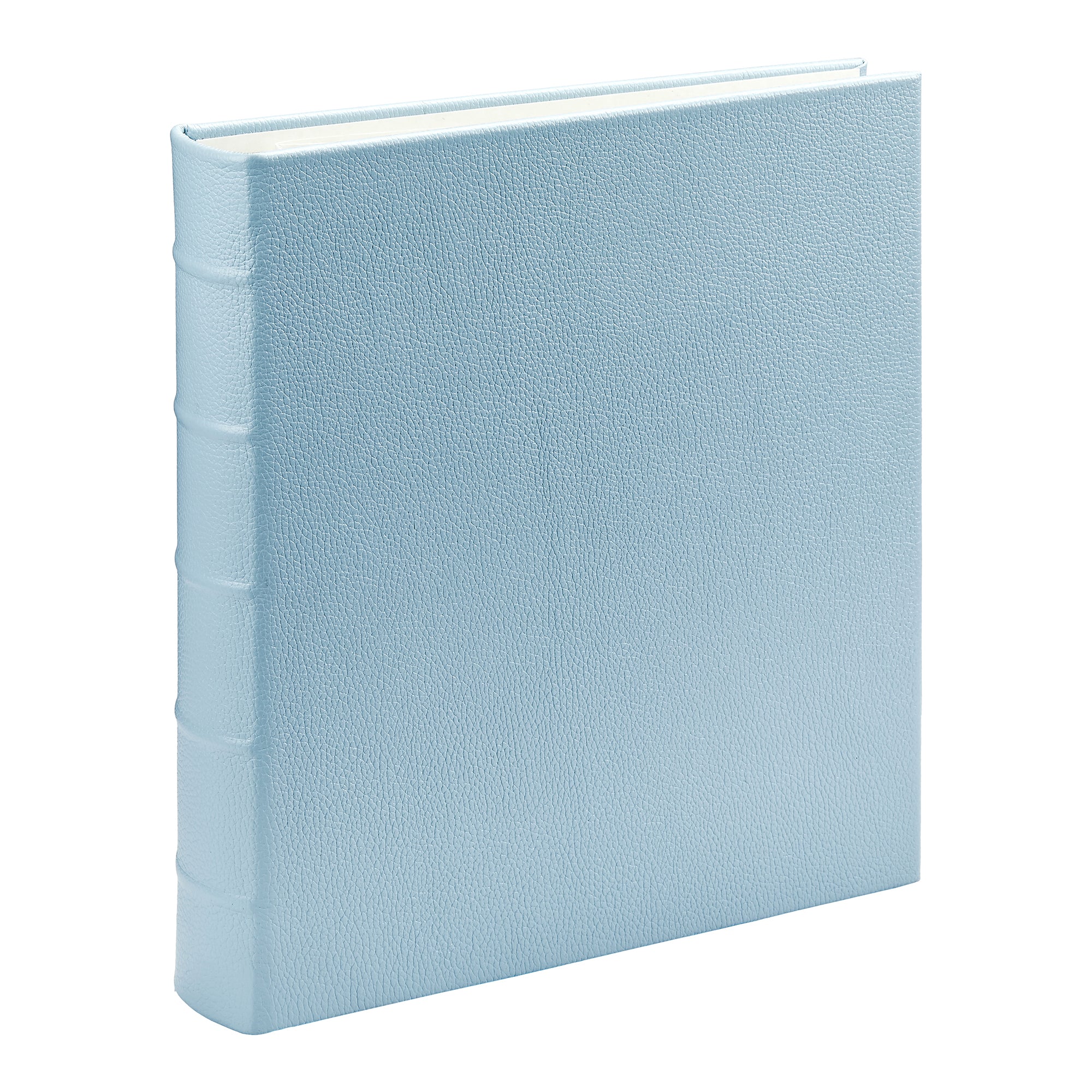 Large 3-Ring Clear Pocket Album