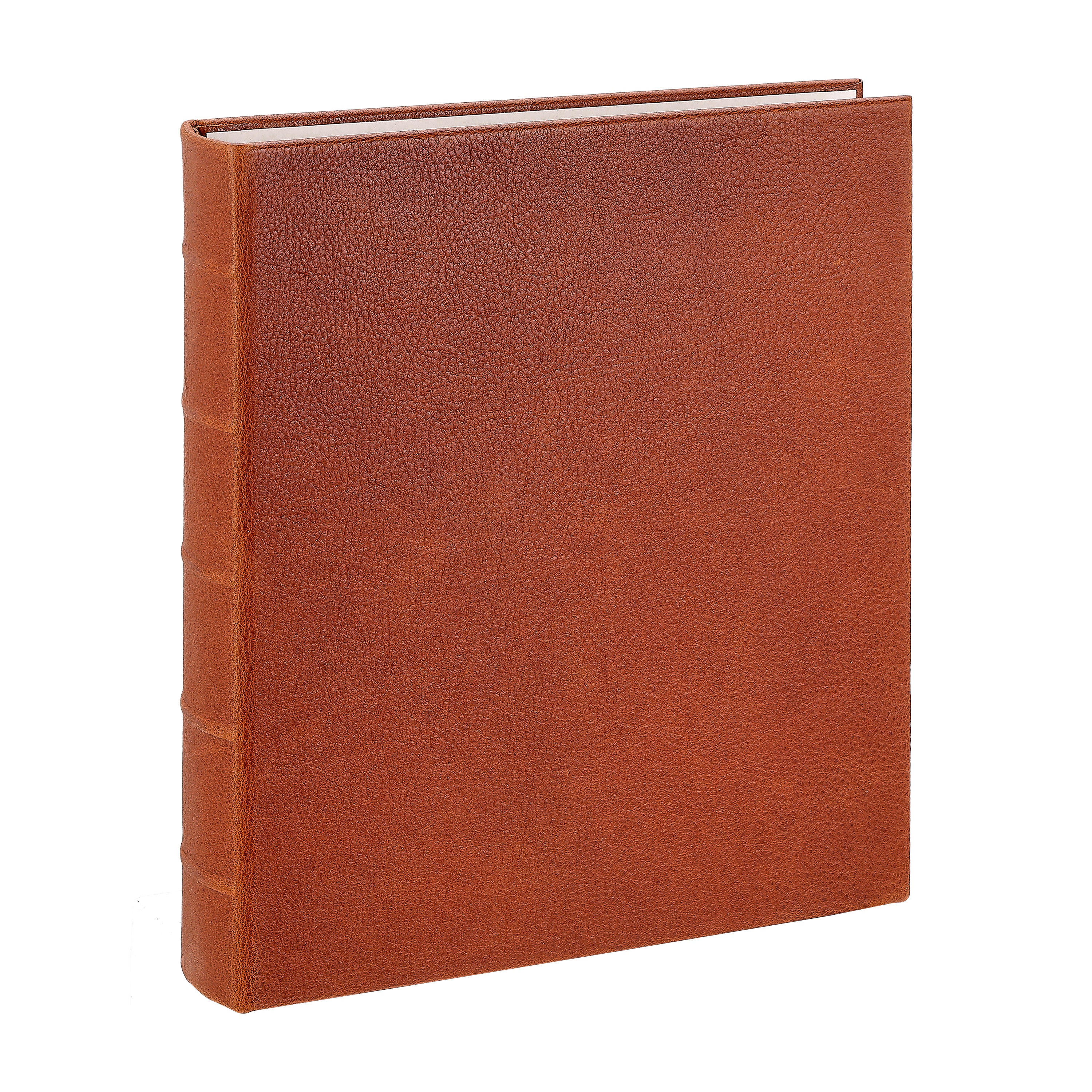 Large 3-Ring Clear Pocket Album