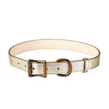 Large Dog Collar