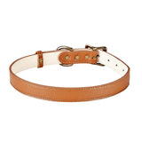 Large Dog Collar