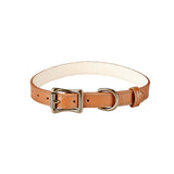 Medium Dog Collar