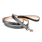 6 Foot Dog Leash