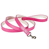 6 Foot Dog Leash