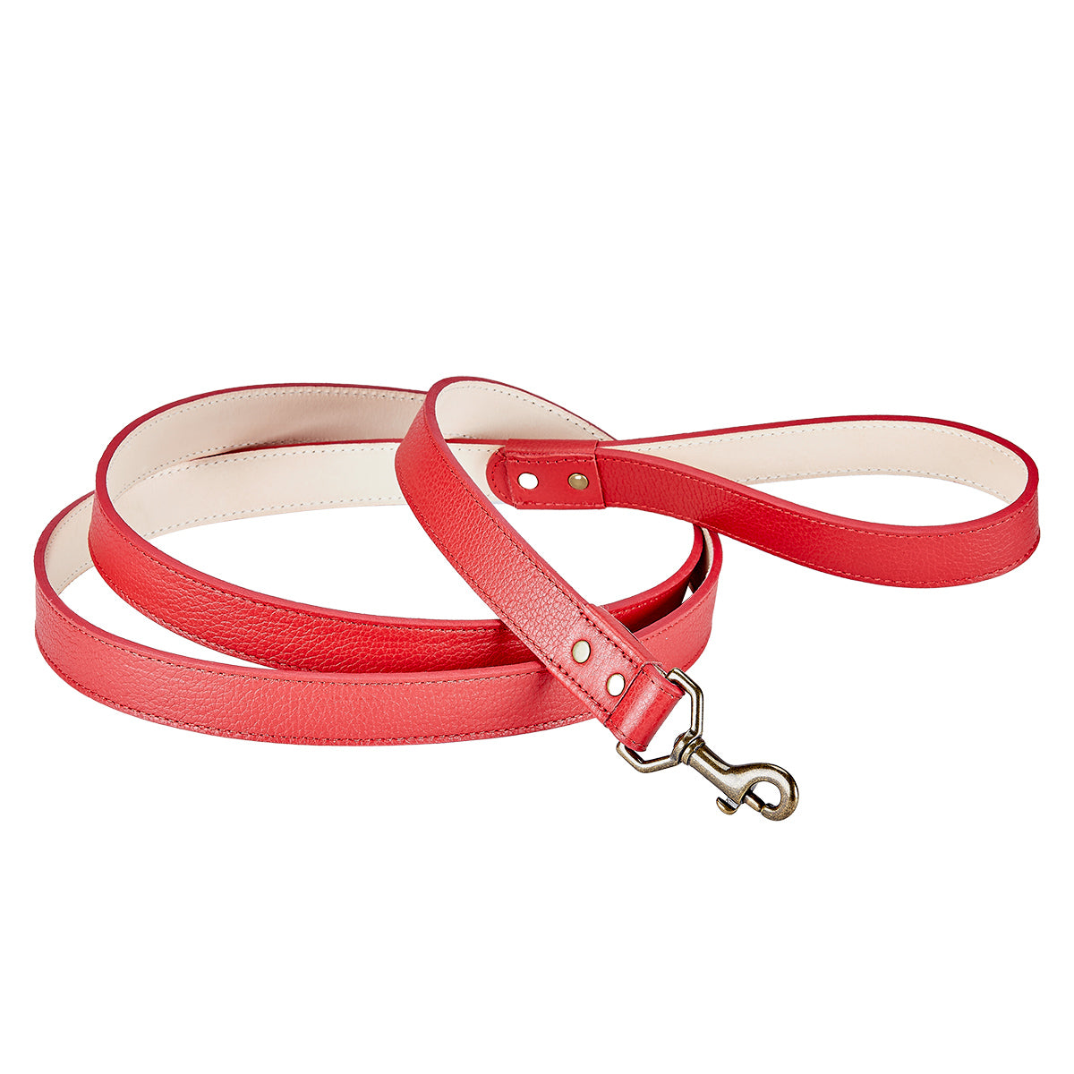 6Foot Dog Leash